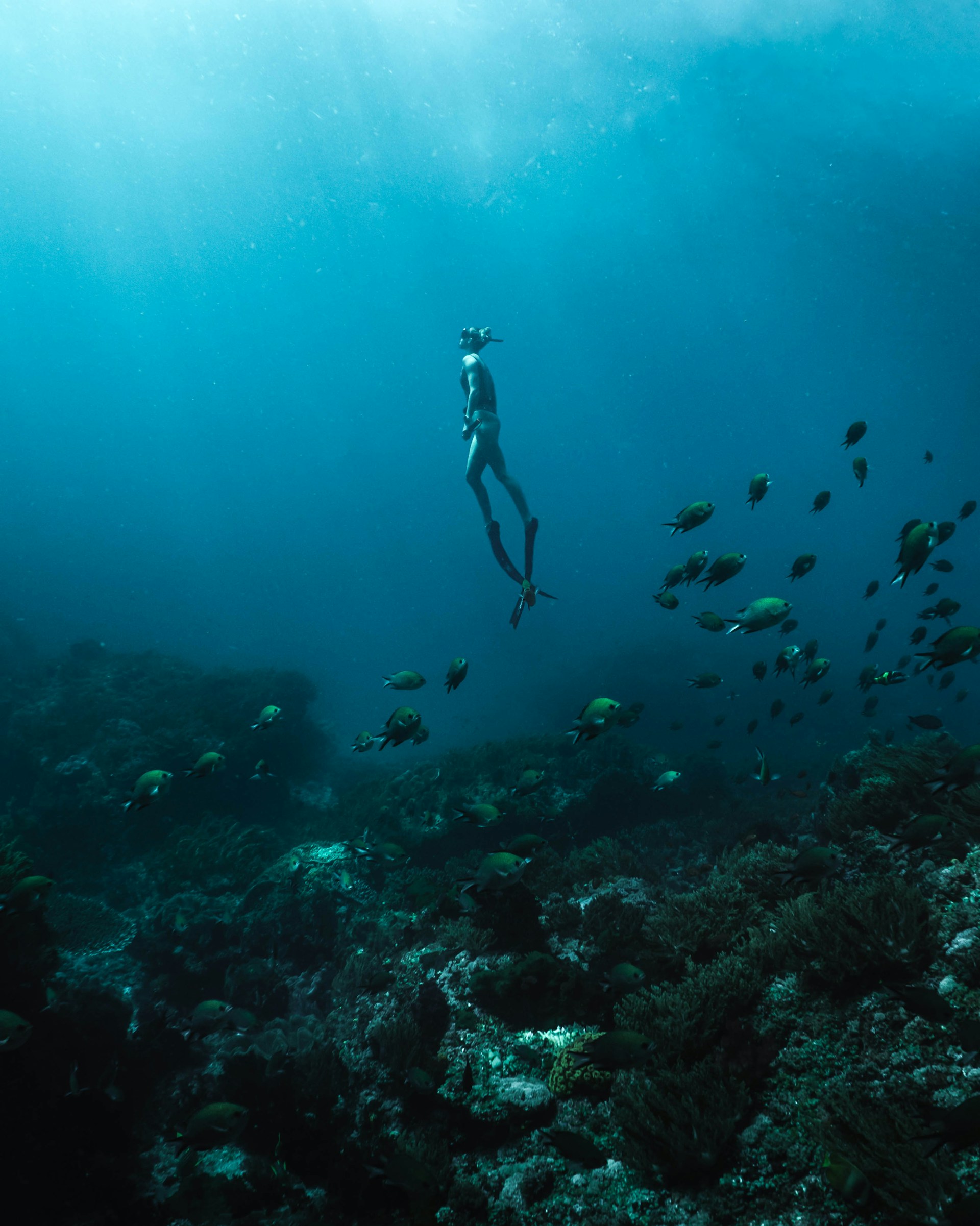Diving in Sal Island: Best Dive Centers for an Unforgettable Underwater Adventure