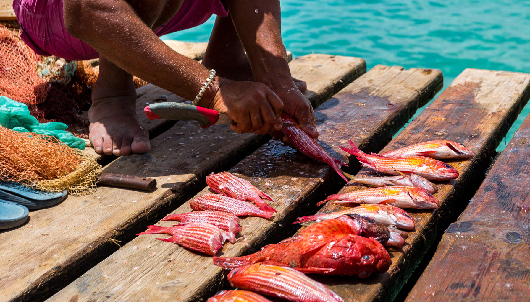 Cape Verdean food experience in Sal Island