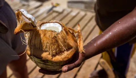 Local food and market tour in Sal Island