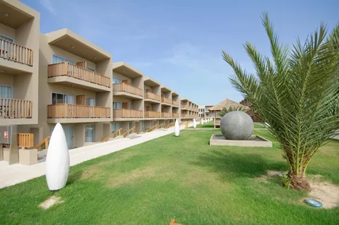 Oasis Salinas Sea Sal