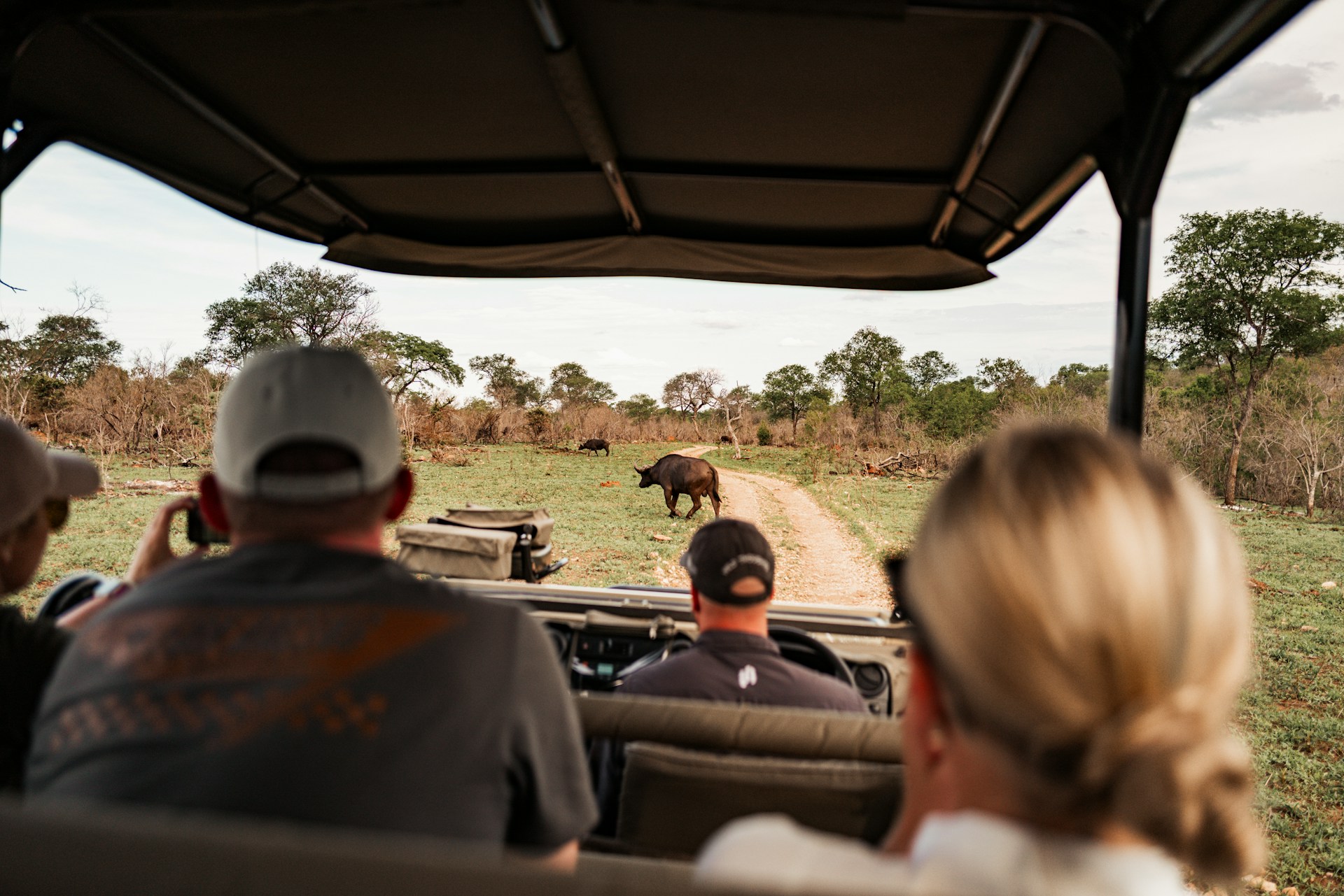 Essential African Safari Camping Tips for an Unforgettable Adventure